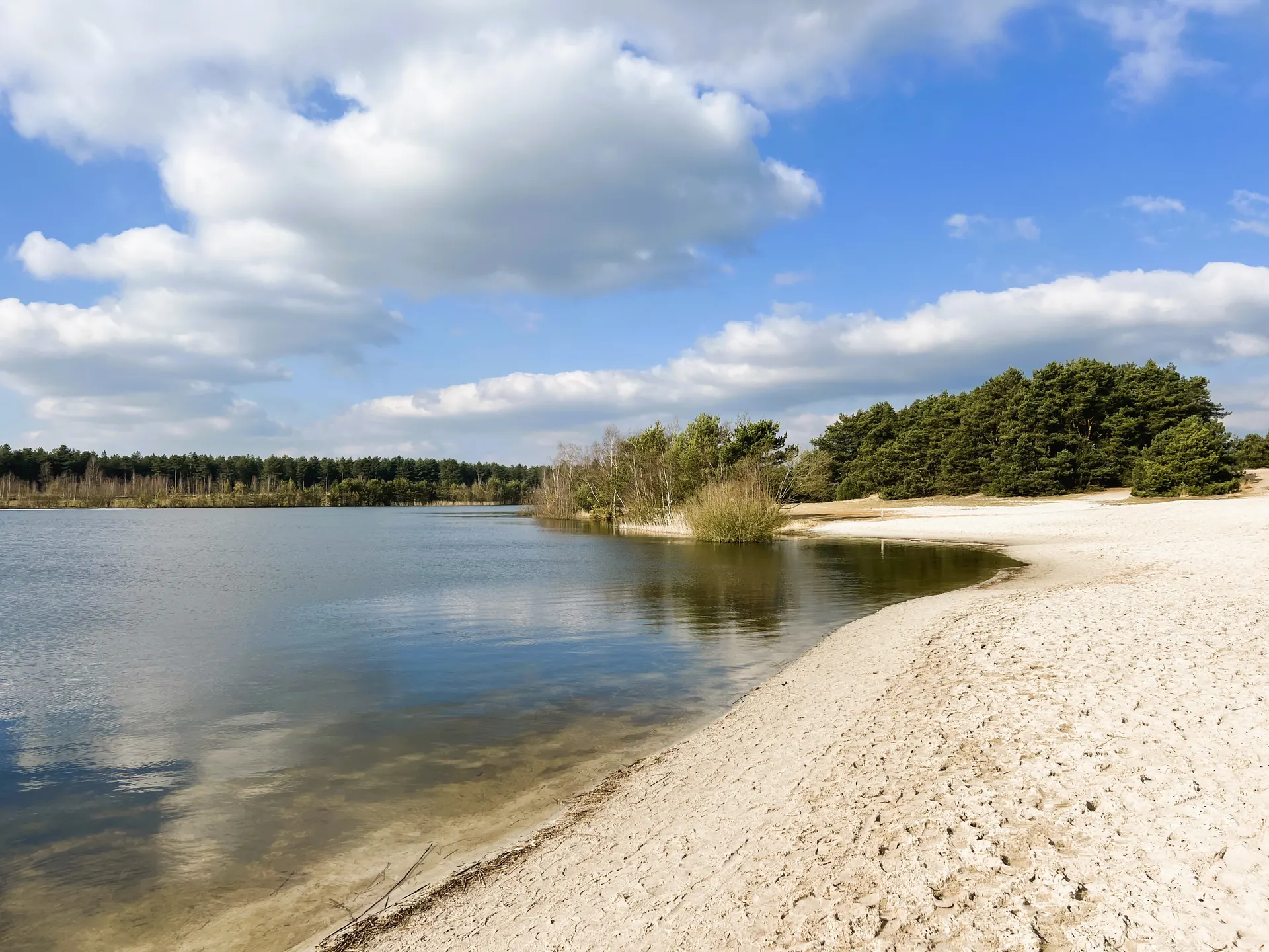 Strand en plas van de Lommelse Sahara